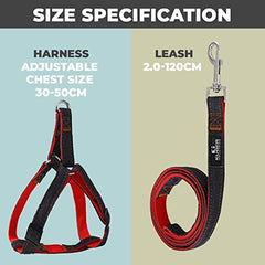 Kuber Industries Dog Collar Belt & Harness With Adjustable Leash|Premium Demin Fabric|Metal Hooks|PDMGL-013-08|Blue