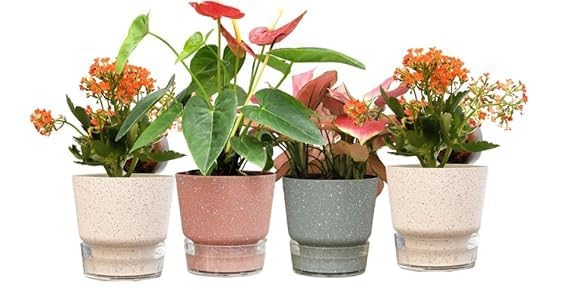 Kuber Industries Flower Pot | Flower Planter Pots for Indoor | Flower Pots for Outdoor | Pot for Garden & Balcony Flowering | Self Watering Flower Pot | P45-3..| Pack of 4 | Multi