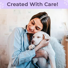 Kuber Industries Dog & Cat Bed|Super Soft Plush Top Pet Bed|Oxford Cloth Polyester Filling| Washable Dog Bed|Rectangular Cat Bed with Rise-Edge Pillow|QY036P-L|Purple(Pack of 4)