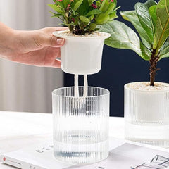 Urbane Home Flower Pot | Flower Planter Pots for Indoor | Flower Pots for Outdoor | Pot for Garden & Balcony Flowering | Self Watering Flower Pot | BGX01F..| Pack of 2 | White