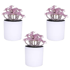 Kuber Industries Artificial Plants for Home D�cor|Natural Looking Indoor Fake Plants with Pot|Artificial Flowers for Decoration-Pack of 3 (Lavender)