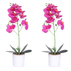 Kuber Industries Artificial Plants for Home Décor|Natural Looking Indoor Fake Plants with Pot|Artificial Flowers for Decoration-Pack of 2 (Pink)