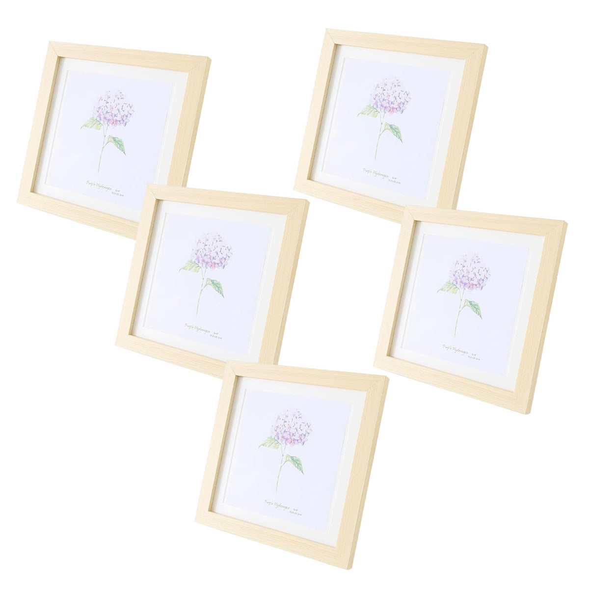 Kuber Industries Photo Frame For Home Décor|Use Horizontal & Vertical|Crystal Clear Glass|Perfect For Home, Office And Shop "11.6x16.7CM"-Pack of 5 (Black)