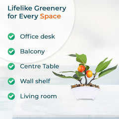 Homestic Pack of 5 Artificial Plants for Home D?cor|Natural Looking Indoor Fake Plants with Pot|Artificial Flowers for Decoration (Orange)