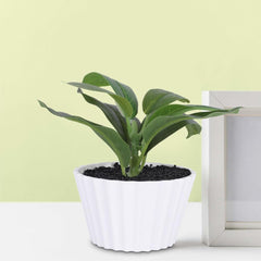 Kuber Industries Artificial Plants for Home Décor|Natural Looking Indoor Fake Plants with Pot|Artificial Flowers for Decoration-Pack of 5 (Green)