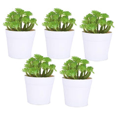 Kuber Industries Artificial Plants for Home Décor|Natural Looking Indoor Fake Plants with Pot|Artificial Flowers for Decoration-Pack of 5 (Green)