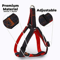 Kuber Industries Dog Collar Belt & Harness With Adjustable Leash|Premium Demin Fabric|Metal Hooks|PDMGL-013-08|Blue