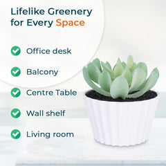 Kuber Industries Artificial Plants for Home D�cor|Natural Looking Indoor Fake Plants with Pot|Artificial Flowers for Decoration-Pack of 2 (Green)