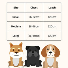 Kuber Industries Reflective Dog Harness with Adjustable Leash|Breathable Polyester Mesh Fabric with Top carry Handle|Small Size|HAT-818|Comfortable No-Pull Grip|Quick Release Buckles|Blue (Pack of 6)