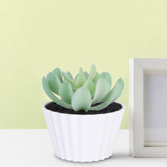 Kuber Industries Artificial Plants for Home D�cor|Natural Looking Indoor Fake Plants with Pot|Artificial Flowers for Decoration-Pack of 2 (Green)