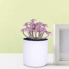 Kuber Industries Artificial Plants for Home D�cor|Natural Looking Indoor Fake Plants with Pot|Artificial Flowers for Decoration-Pack of 3 (Lavender)