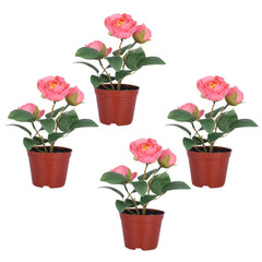 Kuber Industries Artificial Plants for Home Décor|Natural Looking Indoor Fake Plants with Pot|Artificial Flowers for Decoration-Pack of 4 (Pink)