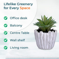 Kuber Industries Artificial Plants for Home D?cor|Natural Looking Indoor Fake Plants with Pot|Artificial Flowers for Decoration-Pack of 2 (Green)