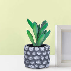Kuber Industries Artificial Plants for Home Décor|Natural Looking Indoor Fake Plants with Pot|Artificial Flowers for Decoration-Pack of 5 (Green)