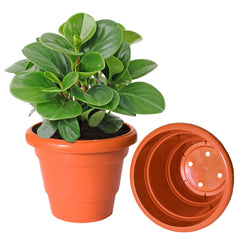 Kuber Industries Solid 2 Layered Plastic Flower Pot|Gamla for Home Decor,Nursery,Balcony,Garden,8"x 6",Pack of 8 (Orange)