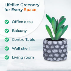 Kuber Industries Artificial Plants for Home Décor|Natural Looking Indoor Fake Plants with Pot|Artificial Flowers for Decoration-Pack of 5 (Green)