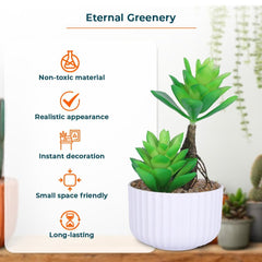 Kuber Industries Artificial Plants for Home D?cor|Natural Looking Indoor Fake Plants with Pot|Artificial Flowers for Decoration-Pack of 6 (Green)