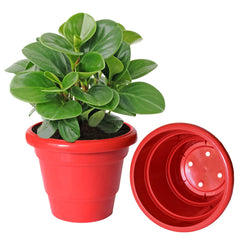 Kuber Industries Solid 2 Layered Plastic Flower Pot|Gamla for Home Decor,Nursery,Balcony,Garden,8"x 6",Pack of 4 (Red)