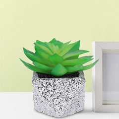 Kuber Industries Artificial Plants for Home Décor|Natural Looking Indoor Fake Plants with Pot|Artificial Flowers for Decoration-Pack of 5 (Green)