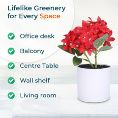 Kuber Industries Artificial Plants for Home D?cor|Natural Looking Indoor Fake Plants with Pot|Artificial Flowers for Decoration-Pack of 6 (Red)