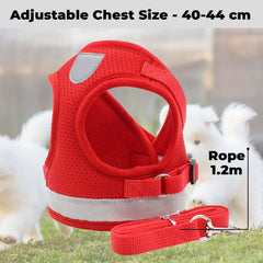 Kuber Industries Pack Of 5 Reflective Dog Harness With Adjustable Leash|Breathable Polyester Mesh Fabric |Medium Size|HT-844|Comfortable No-Pull Grip|Quick Release Buckles|Easy On-Easy Off Harness|Red