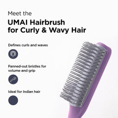 Kuber Industries Hair Brush | Bristles Brush | Hair Brush with Paddle | Brush for Curly wavy Hairs | Suitable For All Hair Types | Hair Brush Styling Hair | 6 Piece | C19P.. | Pack of 3 | Purple