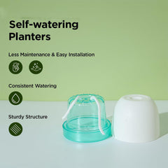 Kuber Industries Flower Pot | Flower Planter Pots for Indoor | Flower Pots for Outdoor | Pot for Garden & Balcony Flowering | Self Watering Flower Pot | GHBIB4..| Pack of 12 | Multi