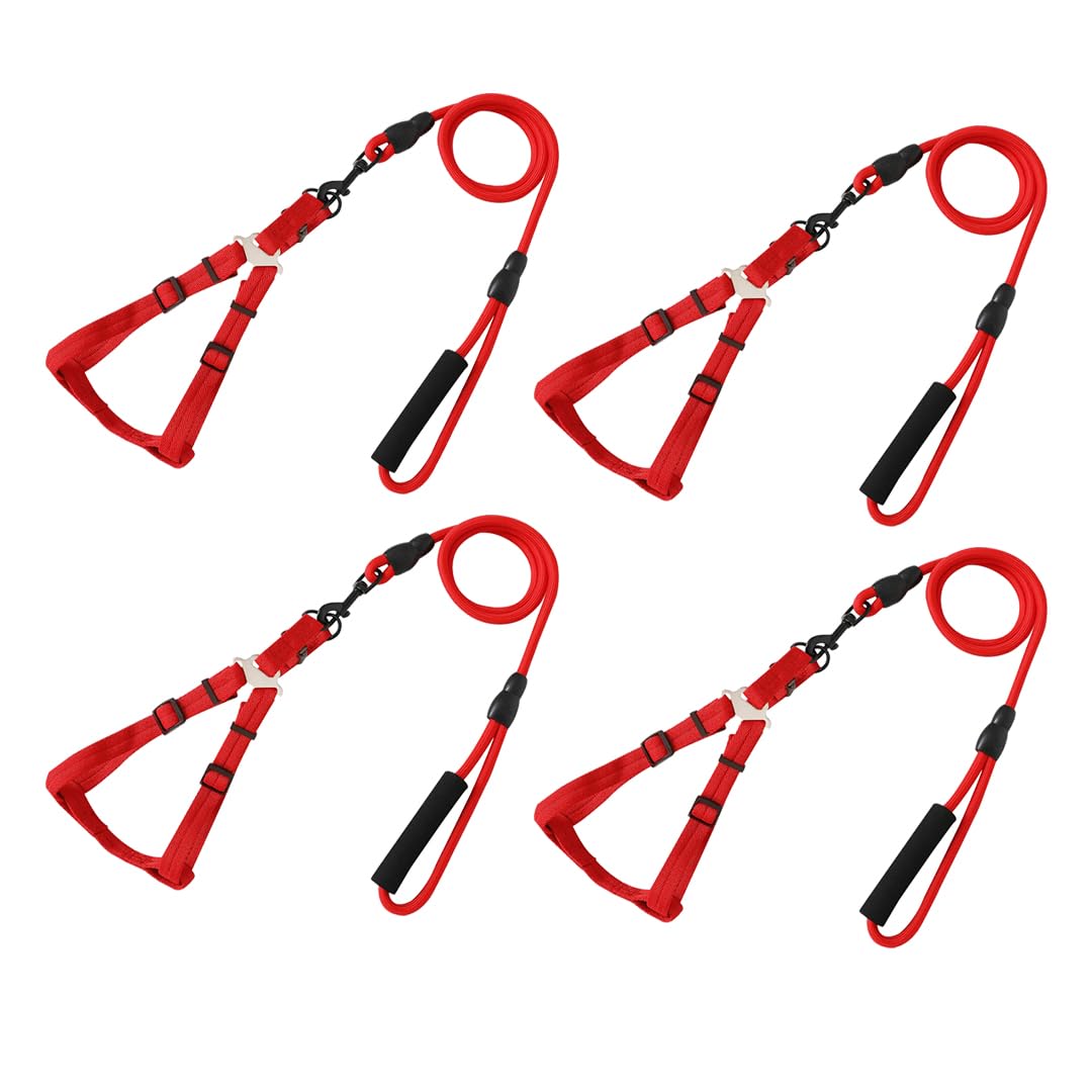 Kuber Industries Dog Harness For Medium Dogs & Leash Set|Premium Metal Hook|PDMGL-005-3|Comfortable Grip|Hand Spliced Belt For Added Strength |PDMGL-005-3| Soft Padding|Stylish Design |Red (Pack Of 4)