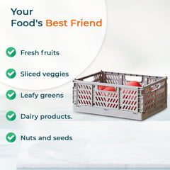 Kuber Industries Large Refrigerator Storage Crisper/Fridge Container without Lid-Pack of 2 (Grey)