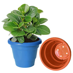 Kuber Industries Solid 2 Layered Plastic Flower Pot|Gamla for Home Decor,Nursery,Balcony,Garden,6"x5",Pack of 3 (Orange & Green & Blue)