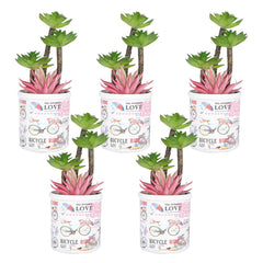 Kuber Industries Artificial Plants for Home Décor|Natural Looking Indoor Fake Plants with Pot|Artificial Flowers for Decoration-Pack of 5 (Pink & Green)