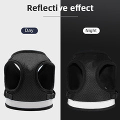 Kuber Industries Reflective Dog Harness With Adjustable Leash|Breathable Polyester Mesh Fabric |XS Size|HT-844|Comfortable No-Pull Grip|Quick Release Buckles|Easy On-Easy Off Harness|Black (Pack Of 6)