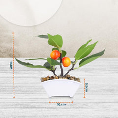 Homestic Pack of 5 Artificial Plants for Home D?cor|Natural Looking Indoor Fake Plants with Pot|Artificial Flowers for Decoration (Orange)