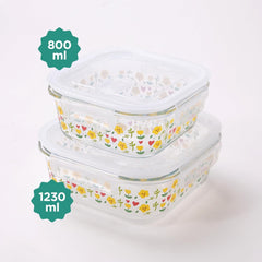 Kuber Industries Borosilicate Printed Container With Lid (Square) | JDA052-MUL | Transparent | Pack Of 2