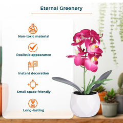 Kuber Industries Artificial Plants for Home D?cor|Natural Looking Indoor Fake Plants with Pot|Artificial Flowers for Decoration-Pack of 4(Pink)