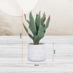 Kuber Industries Artificial Plants for Home Décor|Natural Looking Indoor Fake Plants with Pot|Artificial Flowers for Decoration-Pack of 2 (Green)