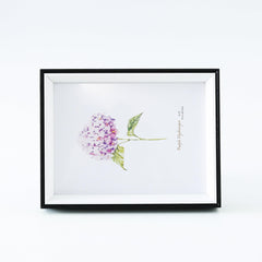 Kuber Industries Photo Frame For Home D?cor|Use Horizontal & Vertical|Crystal Clear Glass|Perfect For Home, Office And Shop "11.6x16.7CM"-Pack of 6 (White)
