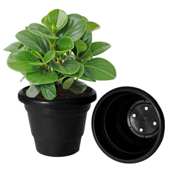 Kuber Industries Solid 2 Layered Plastic Flower Pot|Gamla for Home Decor,Nursery,Balcony,Garden,8"x 6",Pack of 5 (Black)