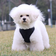 Kuber Industries Reflective Dog Harness With Adjustable Leash|Breathable Polyester Mesh Fabric With Top carry Handle|Medium Size|HAT-818|Comfortable No-Pull Grip|QuickRelease Buckles|Black (Pack Of 4)