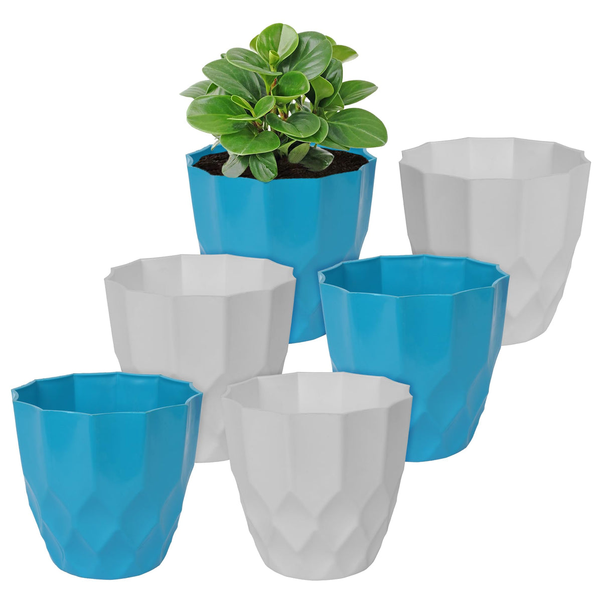 Heart Home Flower Pot | Flower Planter Pots for Indoor | Flower Pots for Outdoor | Pot for Garden & Balcony Flowering | Flower Plants Pot | Barfi Flower Pot | 6 Inch | Pack of 6 | Multi