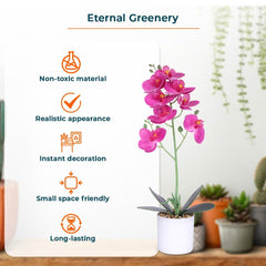Kuber Industries Artificial Plants for Home D?cor|Natural Looking Indoor Fake Plants with Pot|Artificial Flowers for Decoration-Pack of 6 (Pink)
