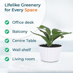 Kuber Industries Artificial Plants for Home Décor|Natural Looking Indoor Fake Plants with Pot|Artificial Flowers for Decoration-Pack of 5 (Green)