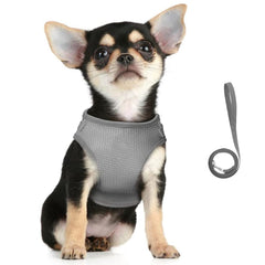 Kuber Industries Reflective Dog Harness With Adjustable Leash|Breathable Polyester Mesh Fabric |XS Size|HT-844|Comfortable No-Pull Grip|QuickRelease Buckles|Easy On - Easy Off Harness|Grey (Pack Of 4)