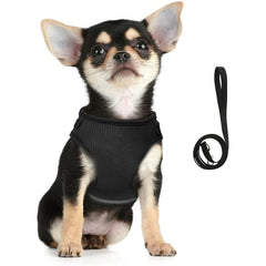 Kuber Industries Reflective Dog Harness with Adjustable Leash|Breathable Polyester Mesh Fabric |Small Size|HT-844|Comfortable No-Pull Grip|Quick Release Buckles|Easy On-Off Harness|Black (Pack of 2)