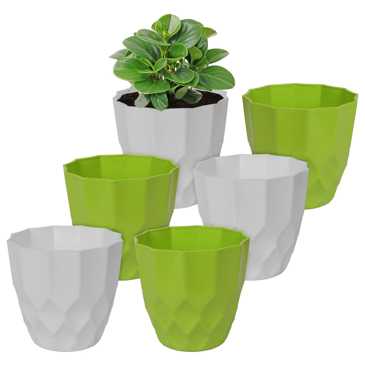 Heart Home Flower Pot | Flower Planter Pots for Indoor | Flower Pots for Outdoor | Pot for Garden & Balcony Flowering | Flower Plants Pot | Barfi Flower Pot | 6 Inch | Pack of 6 | Multi