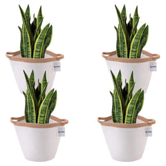 Kuber Industries Cotton Woven Storage Basket With Handle|Shelf Basket Hamper|Organizer for Toys, Socks, Cosmetic|Capacity 21 L|Pack Of 4|White|