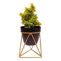 Heart Home Planter | Planter Pot Stand for Outdoor | Planter Stand for Garden | Plant Stand for Home | Gamla Stand for Home | Metal Indoor Pots with Drainage Hole | Set of 1 | Black