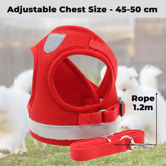 Kuber Industries Reflective Dog Harness With Adjustable Leash|Breathable Polyester Mesh Fabric |XL Size|HT-844|Comfortable No-Pull Grip|Quick Release Buckles|Easy On - Easy Off Harness|Red (Pack Of 6)