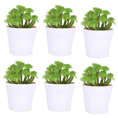 Kuber Industries Artificial Plants for Home Décor|Natural Looking Indoor Fake Plants with Pot|Artificial Flowers for Decoration-Pack of 6 (Green)
