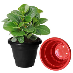 Kuber Industries Solid 2 Layered Plastic Flower Pot|Gamla for Home Decor,Nursery,Balcony,Garden,8"x 6",Pack of 3 (Green & Red & Black)